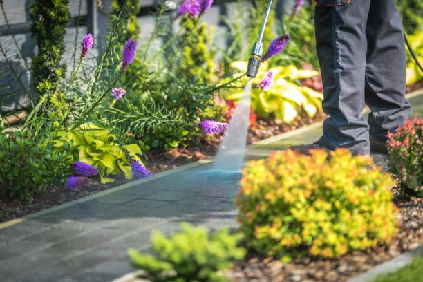 Best Patio and Deck Pressure Washing  in Seaville, NJ