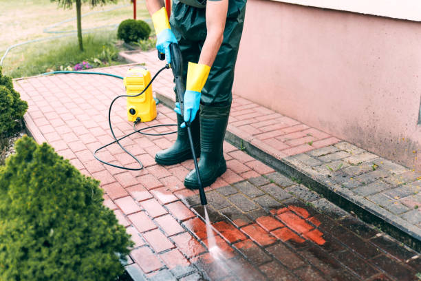 Best Roof Washing  in Seaville, NJ